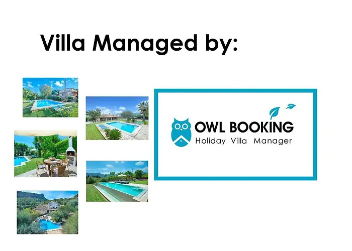 Owl Coloma - Luxury Retreat With Huge Pool